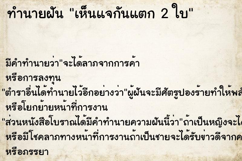 ทำนายฝัน เห็นแจกันแตก 2 ใบ